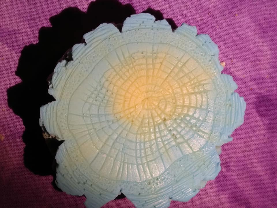 NC - Tree Trunk Soap